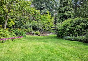 Optimiser l'expérience du jardin à Renage